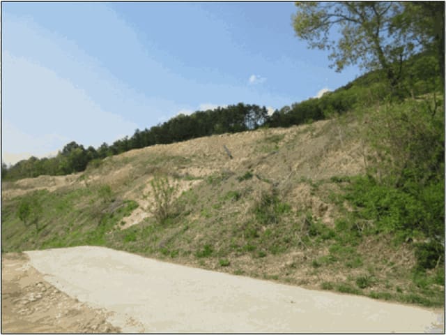 B000262202501300007494.jpg