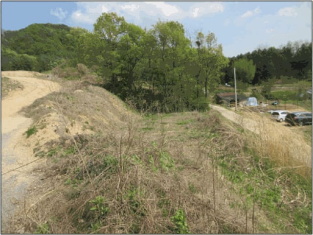 B000262202501300007493.jpg