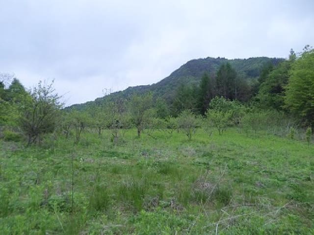 B000262202501300008312.jpg