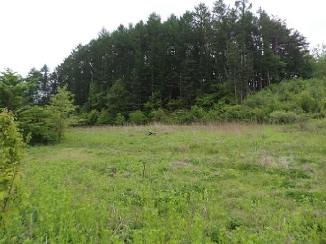 B000262202501300008313.jpg