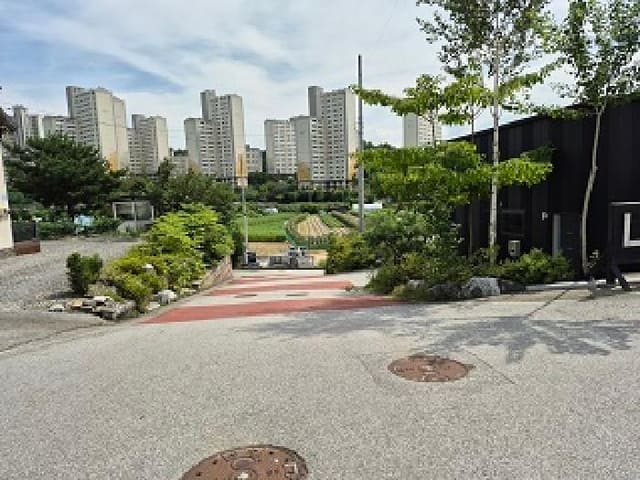 B000262202501300009783.jpg