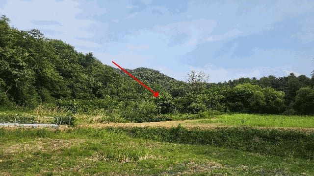 B000262202501300009854.jpg