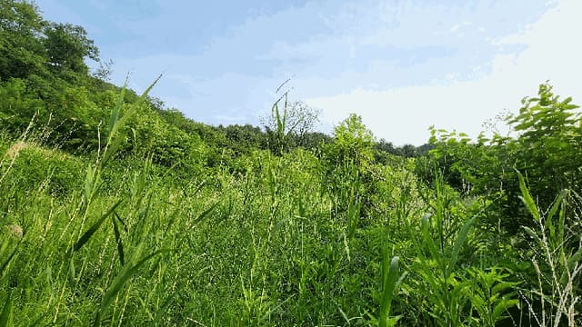 B000262202501300009853.jpg