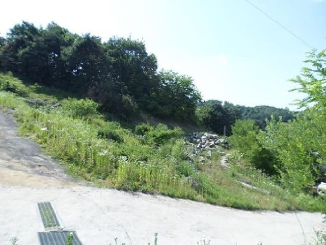 B000262202501300010701.jpg