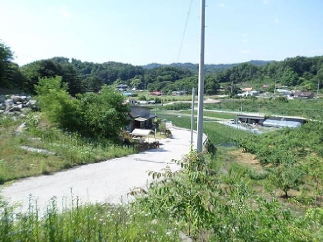 B000262202501300010702.jpg