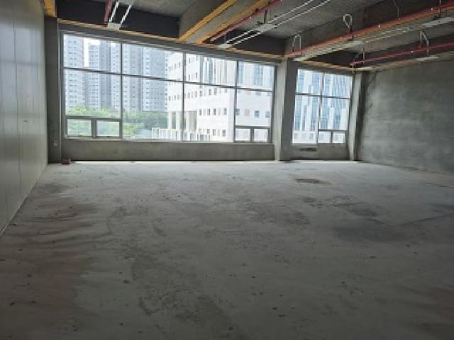 B000262202501300011002.jpg