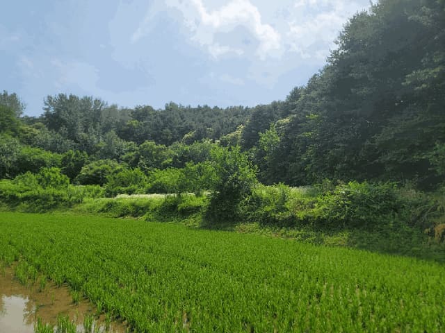 B000262202501300011242.jpg