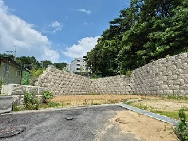 B000262202501300011481.jpg