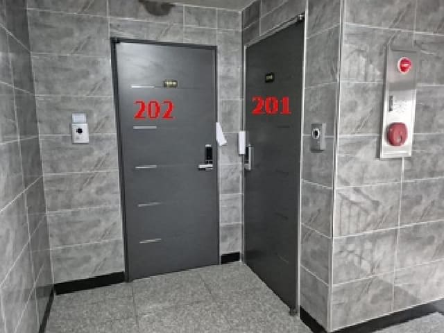 B000262202501300012233.jpg
