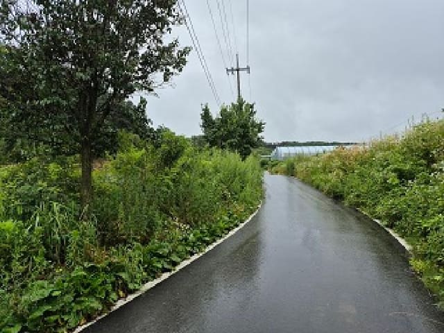 B000262202501300012613.jpg