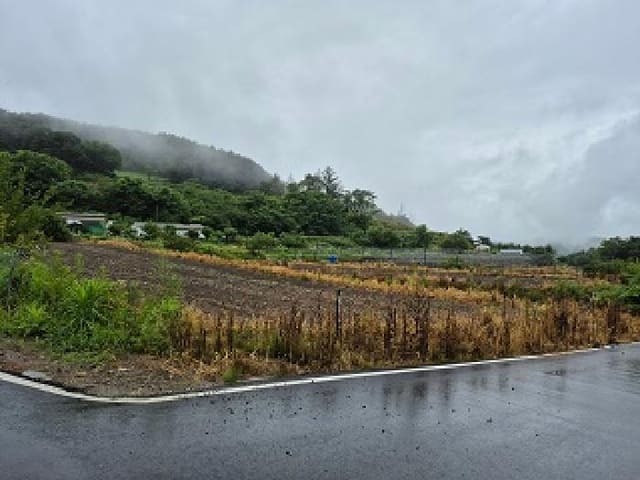 B000262202501300012614.jpg