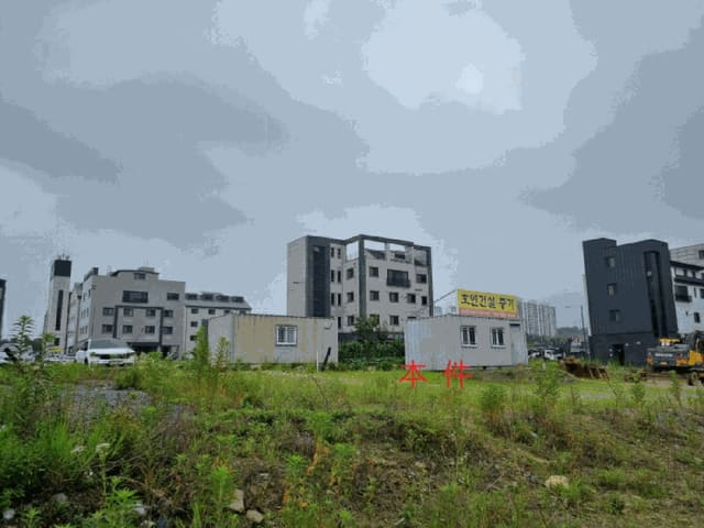 B000262202501300012929.jpg