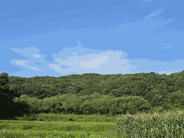 B000262202501300014453.jpg