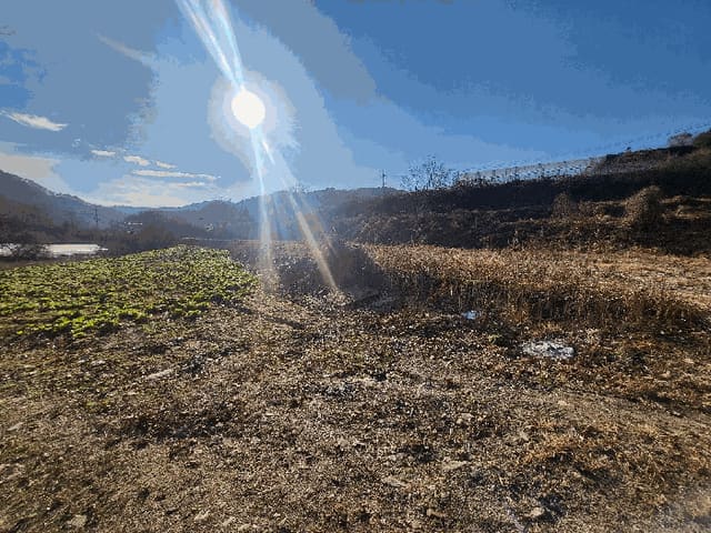 B000262202501300014763.jpg