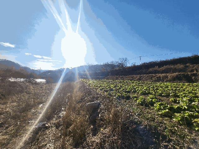 B000262202501300014764.jpg