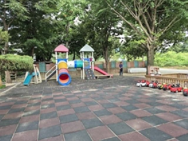 B000262202501300015513.jpg