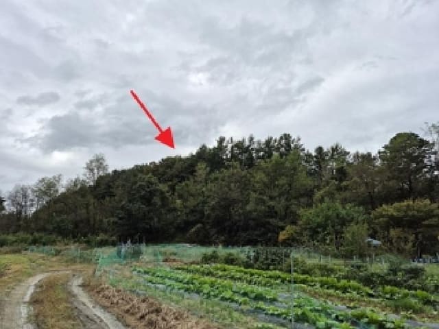 B000262202501300020111.jpg