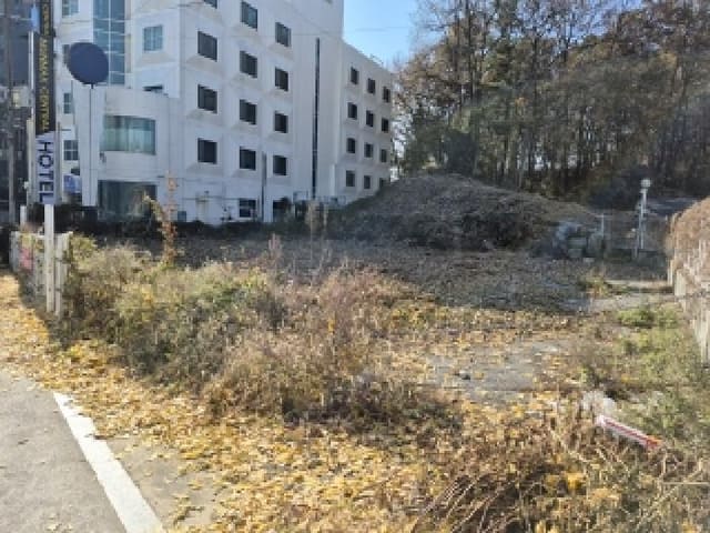 B000262202501300024621.jpg