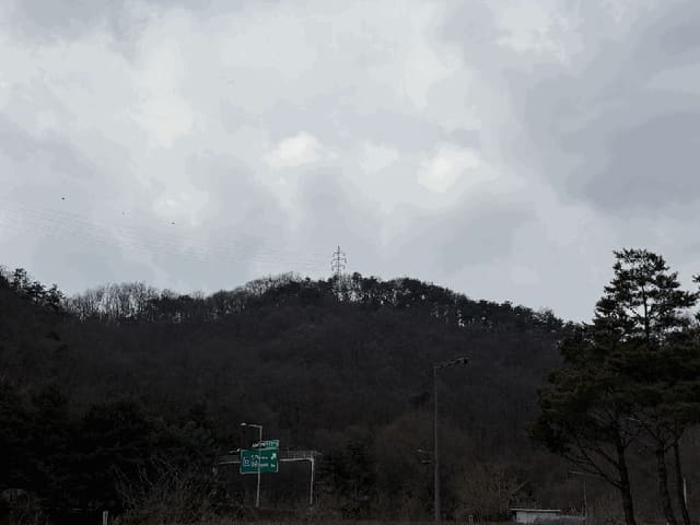 B000262202501300203474.jpg
