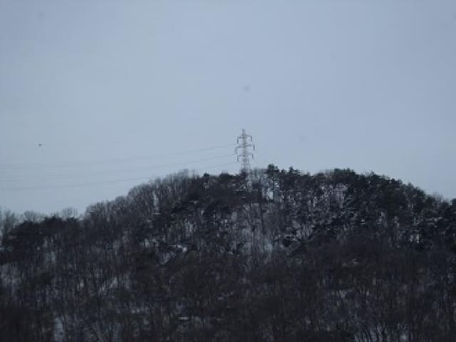 B000262202501300203471.jpg