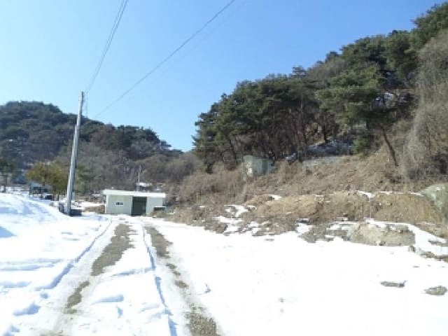 B000262202501300203781.jpg