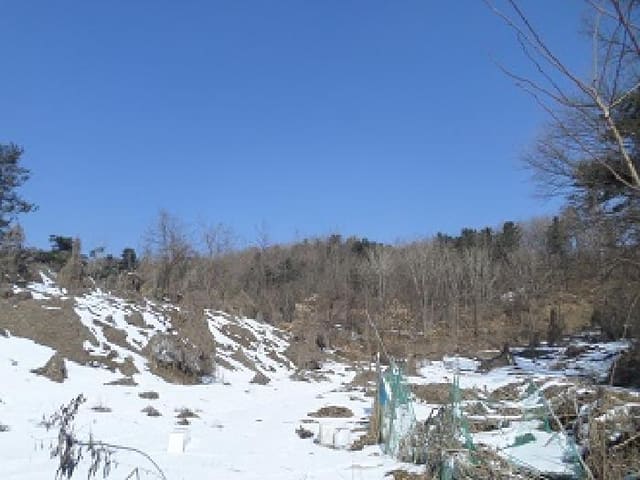 B000262202501300203853.jpg
