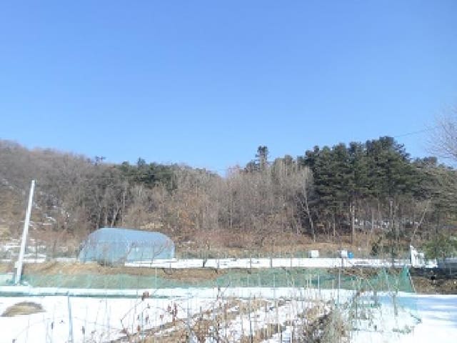 B000262202501300203852.jpg