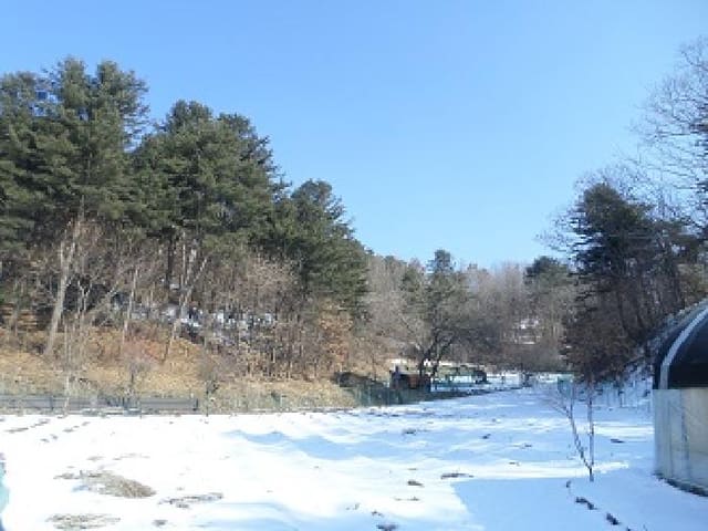 B000262202501300203851.jpg
