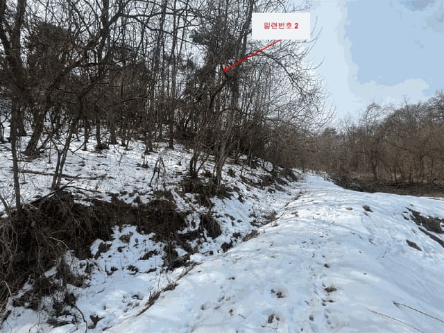 B000262202501300204684.jpg