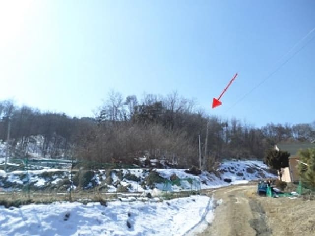 B000262202501300204681.jpg