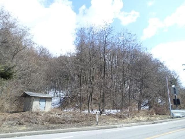 B000262202501300204944.jpg