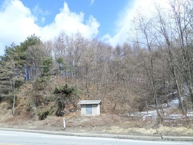 B000262202501300204942.jpg