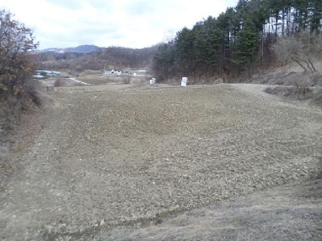 B000262202501300205071.jpg