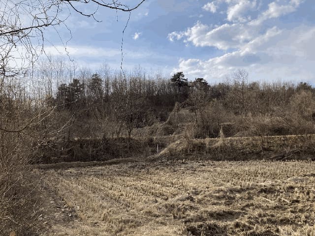 B000262202501300205074.jpg