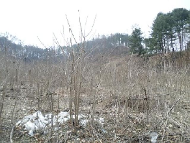 B000262202501300205183.jpg