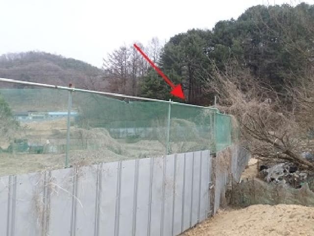 B000262202501300205181.jpg