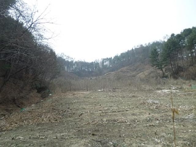 B000262202501300205182.jpg