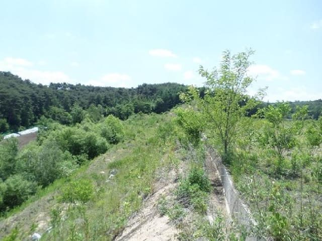 B000262202501300205214.jpg