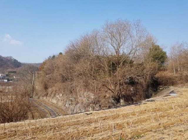 B000262202501300205223.jpg