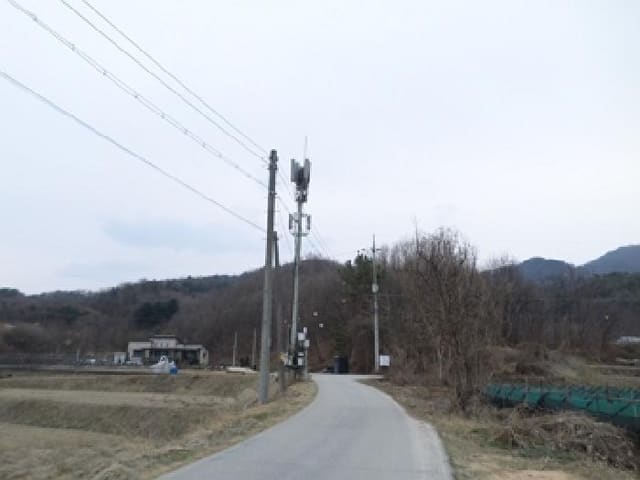 B000262202501300205391.jpg