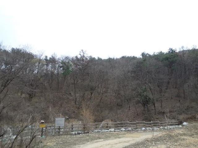 B000262202501300205392.jpg