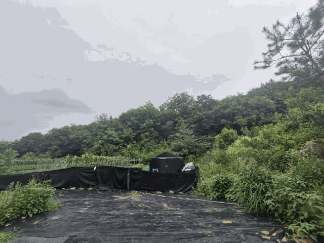 B000262202501300205394.jpg