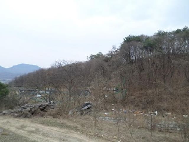 B000262202501300205393.jpg