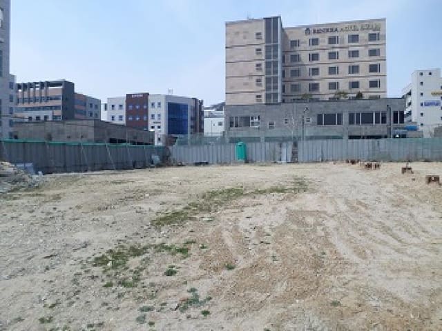 B000262202501300205422.jpg