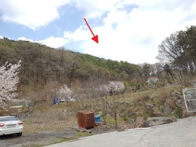 B000262202501300205574.jpg