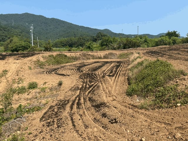 B000262202501300205821.jpg