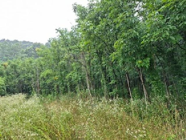 B000262202501300205881.jpg