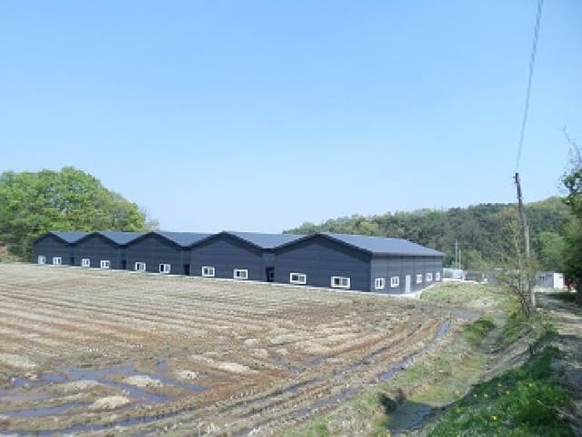 B000262202501300205991.jpg