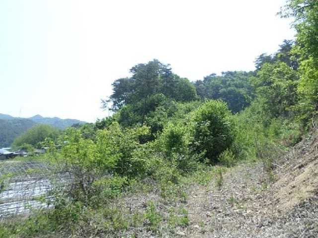 B000262202501300206202.jpg