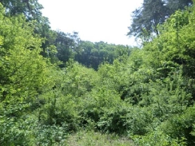 B000262202501300206203.jpg